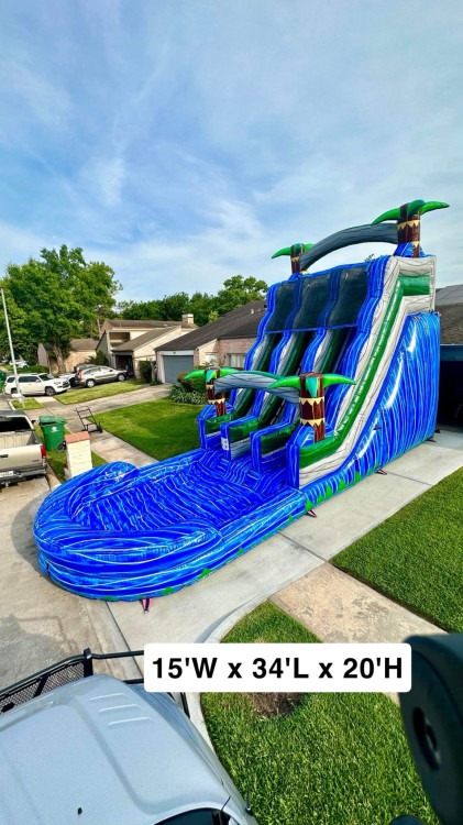 Palm Tree Double Lane Water Slide